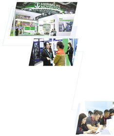 在進博會上全面展示新技術新產品 跨國企業(yè)鉚足勁拓展中國市場 會議及展覽服務